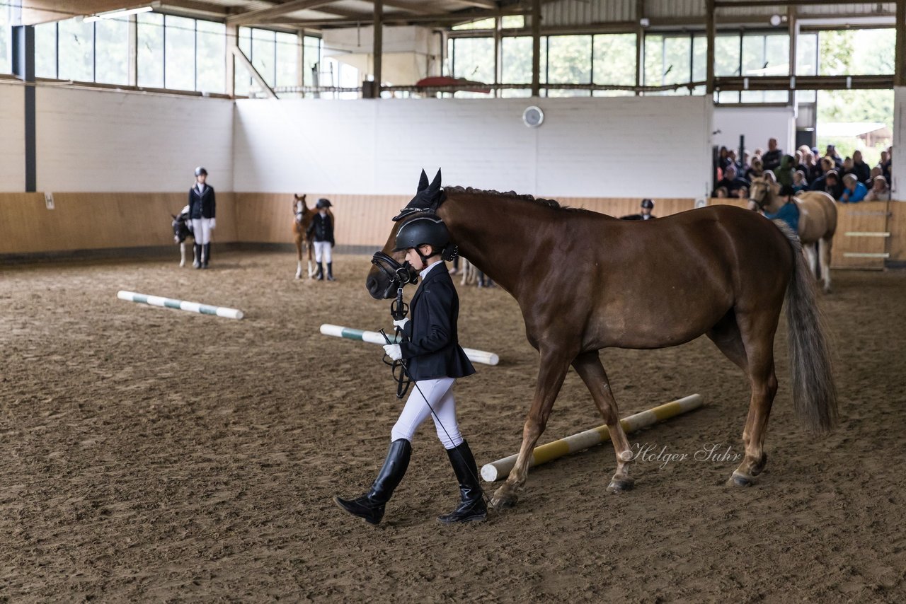 Bild 52 - Pony Akademie Turnier